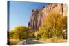 USA, Utah, Capitol Reef National Park, Highway 24 and Cottonwoods-Jamie & Judy Wild-Stretched Canvas