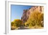 USA, Utah, Capitol Reef National Park, Highway 24 and Cottonwoods-Jamie & Judy Wild-Framed Photographic Print