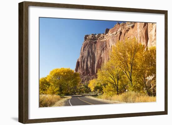 USA, Utah, Capitol Reef National Park, Highway 24 and Cottonwoods-Jamie & Judy Wild-Framed Photographic Print