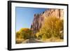 USA, Utah, Capitol Reef National Park, Highway 24 and Cottonwoods-Jamie & Judy Wild-Framed Photographic Print