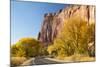 USA, Utah, Capitol Reef National Park, Highway 24 and Cottonwoods-Jamie & Judy Wild-Mounted Photographic Print