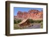 USA, Utah, Capitol Reef National Park, Historical Place Fruita, Barn-Catharina Lux-Framed Photographic Print