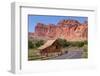 USA, Utah, Capitol Reef National Park, Historical Place Fruita, Barn-Catharina Lux-Framed Photographic Print