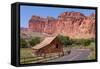 USA, Utah, Capitol Reef National Park, Historical Place Fruita, Barn-Catharina Lux-Framed Stretched Canvas