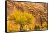 USA, Utah, Capitol Reef National Park. Mountain and cottonwood trees in autumn.-Jaynes Gallery-Framed Stretched Canvas