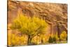 USA, Utah, Capitol Reef National Park. Mountain and cottonwood trees in autumn.-Jaynes Gallery-Stretched Canvas