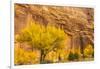 USA, Utah, Capitol Reef National Park. Mountain and cottonwood trees in autumn.-Jaynes Gallery-Framed Photographic Print