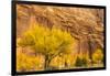 USA, Utah, Capitol Reef National Park. Mountain and cottonwood trees in autumn.-Jaynes Gallery-Framed Photographic Print