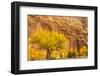 USA, Utah, Capitol Reef National Park. Mountain and cottonwood trees in autumn.-Jaynes Gallery-Framed Photographic Print