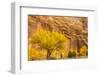 USA, Utah, Capitol Reef National Park. Mountain and cottonwood trees in autumn.-Jaynes Gallery-Framed Photographic Print