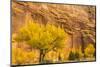 USA, Utah, Capitol Reef National Park. Mountain and cottonwood trees in autumn.-Jaynes Gallery-Mounted Photographic Print