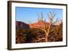 USA, Utah, Capitol Reef National Park, Parched Tree-Catharina Lux-Framed Photographic Print