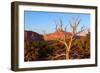 USA, Utah, Capitol Reef National Park, Parched Tree-Catharina Lux-Framed Photographic Print