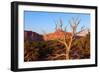 USA, Utah, Capitol Reef National Park, Parched Tree-Catharina Lux-Framed Photographic Print