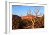 USA, Utah, Capitol Reef National Park, Parched Tree-Catharina Lux-Framed Photographic Print