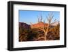 USA, Utah, Capitol Reef National Park, Parched Tree-Catharina Lux-Framed Photographic Print