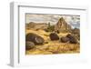 USA, Utah, Capitol Reef National Park. Pectols Pyramid in autumn.-Jaynes Gallery-Framed Photographic Print
