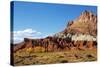 USA, Utah, Capitol Reef, Scenic Drive with Waterpocket Fold-Jamie & Judy Wild-Stretched Canvas
