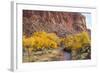 USA, Utah, Capitol Reef, Sulpher Creek, Trees and Waterpocket Fold-Jamie & Judy Wild-Framed Photographic Print