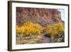 USA, Utah, Capitol Reef, Sulpher Creek, Trees and Waterpocket Fold-Jamie & Judy Wild-Framed Photographic Print