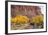 USA, Utah, Capitol Reef, Sulpher Creek, Trees and Waterpocket Fold-Jamie & Judy Wild-Framed Photographic Print