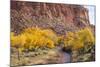 USA, Utah, Capitol Reef, Sulpher Creek, Trees and Waterpocket Fold-Jamie & Judy Wild-Mounted Photographic Print