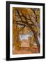 USA, Utah, Capitol Reef. the Castle Rock Formation Framed by Tree-Jaynes Gallery-Framed Photographic Print