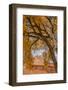 USA, Utah, Capitol Reef. the Castle Rock Formation Framed by Tree-Jaynes Gallery-Framed Photographic Print