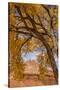 USA, Utah, Capitol Reef. the Castle Rock Formation Framed by Tree-Jaynes Gallery-Stretched Canvas
