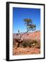 USA, Utah, Capitol Reef, Waterpocket Fold Formations with Tree-Jamie & Judy Wild-Framed Photographic Print