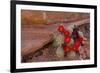 USA, Utah, Cedar Mesa. Red Flowers of Claret Cup Cactus in Bloom on Slickrock-Charles Crust-Framed Photographic Print