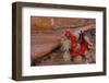 USA, Utah, Cedar Mesa. Red Flowers of Claret Cup Cactus in Bloom on Slickrock-Charles Crust-Framed Photographic Print