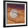 USA, Utah. Circular Bleaching Pattern in Sandstone-Jaynes Gallery-Framed Photographic Print