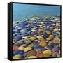 USA, Utah. Colorful Rocks in Lake Powell-Jaynes Gallery-Framed Stretched Canvas