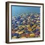 USA, Utah. Colorful Rocks in Lake Powell-Jaynes Gallery-Framed Photographic Print