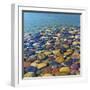 USA, Utah. Colorful Rocks in Lake Powell-Jaynes Gallery-Framed Photographic Print