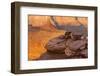 USA, Utah, Dead Horse Point State Park. Sunrise on Canyon Landscape-Cathy & Gordon Illg-Framed Photographic Print