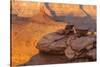 USA, Utah, Dead Horse Point State Park. Sunrise on Canyon Landscape-Cathy & Gordon Illg-Stretched Canvas