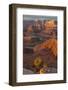 USA, Utah, Dead Horse Point State Park. Sunrise on Colorado River-Cathy & Gordon Illg-Framed Photographic Print