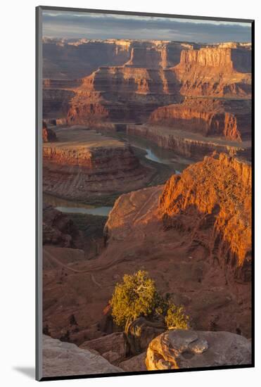 USA, Utah, Dead Horse Point State Park. Sunrise on Colorado River-Cathy & Gordon Illg-Mounted Photographic Print