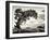 USA, Utah, Dead Horse State Park, Juniper Tree-Mark Sykes-Framed Photographic Print