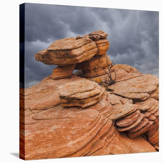 USA, Utah, Dixie National Forest. Sandstone Formation in Yant Flats-Jaynes Gallery-Stretched Canvas