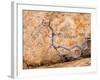 USA, Utah, Dixie Nf. Twisted Dead Branch and Sandstone Rock Wall-Jaynes Gallery-Framed Photographic Print