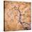 USA, Utah, Dixie Nf. Twisted Dead Branch and Sandstone Rock Wall-Jaynes Gallery-Stretched Canvas