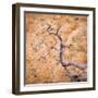 USA, Utah, Dixie Nf. Twisted Dead Branch and Sandstone Rock Wall-Jaynes Gallery-Framed Photographic Print