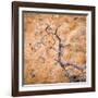 USA, Utah, Dixie Nf. Twisted Dead Branch and Sandstone Rock Wall-Jaynes Gallery-Framed Photographic Print