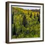 USA, Utah, east of Logan on highway 89 and Aspen Grove still green-Sylvia Gulin-Framed Photographic Print