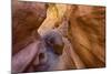 USA, Utah, Emery, Little Wildhorse Canyon-Jamie & Judy Wild-Mounted Photographic Print