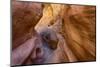 USA, Utah, Emery, Little Wildhorse Canyon-Jamie & Judy Wild-Mounted Photographic Print