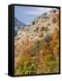 USA, Utah. Fall color with aspens along Logan Canyon.-Julie Eggers-Framed Stretched Canvas